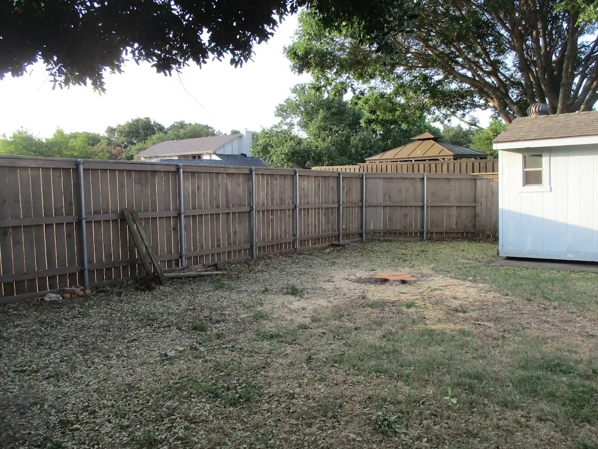 Cleared yard after professional tree removal in Bear Creek